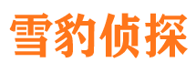 宜昌捉小三公司